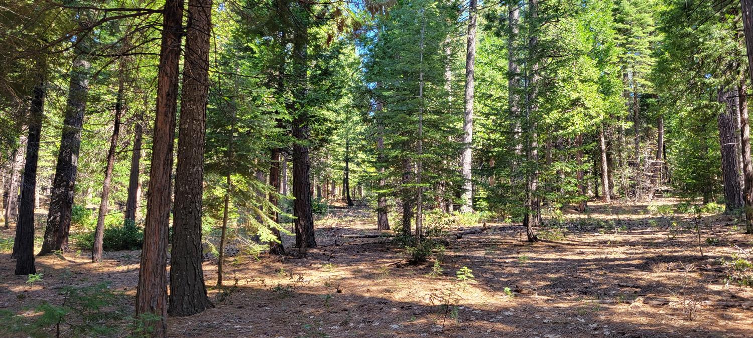 Photo of 12683 Spider Hill Rd in Nevada City, CA
