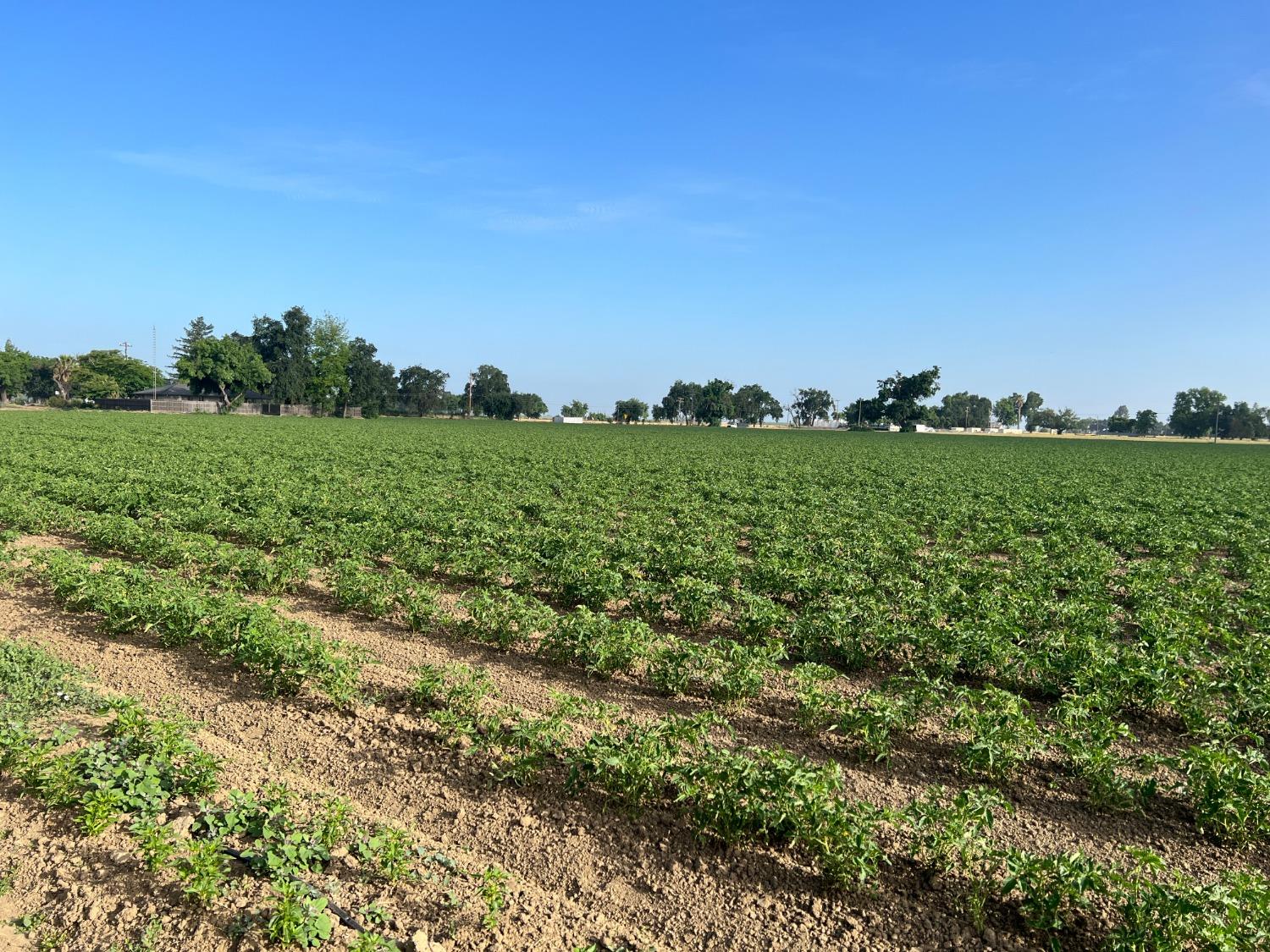 Photo of 37795 County Rd 17 in Woodland, CA