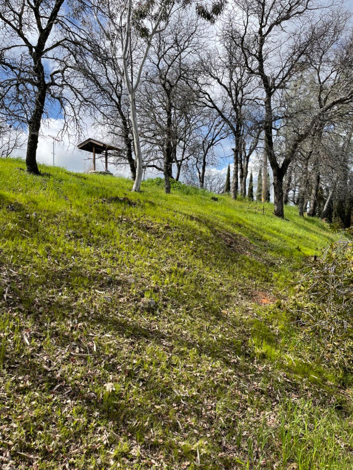 Buena Vista, La Grange, California image 39