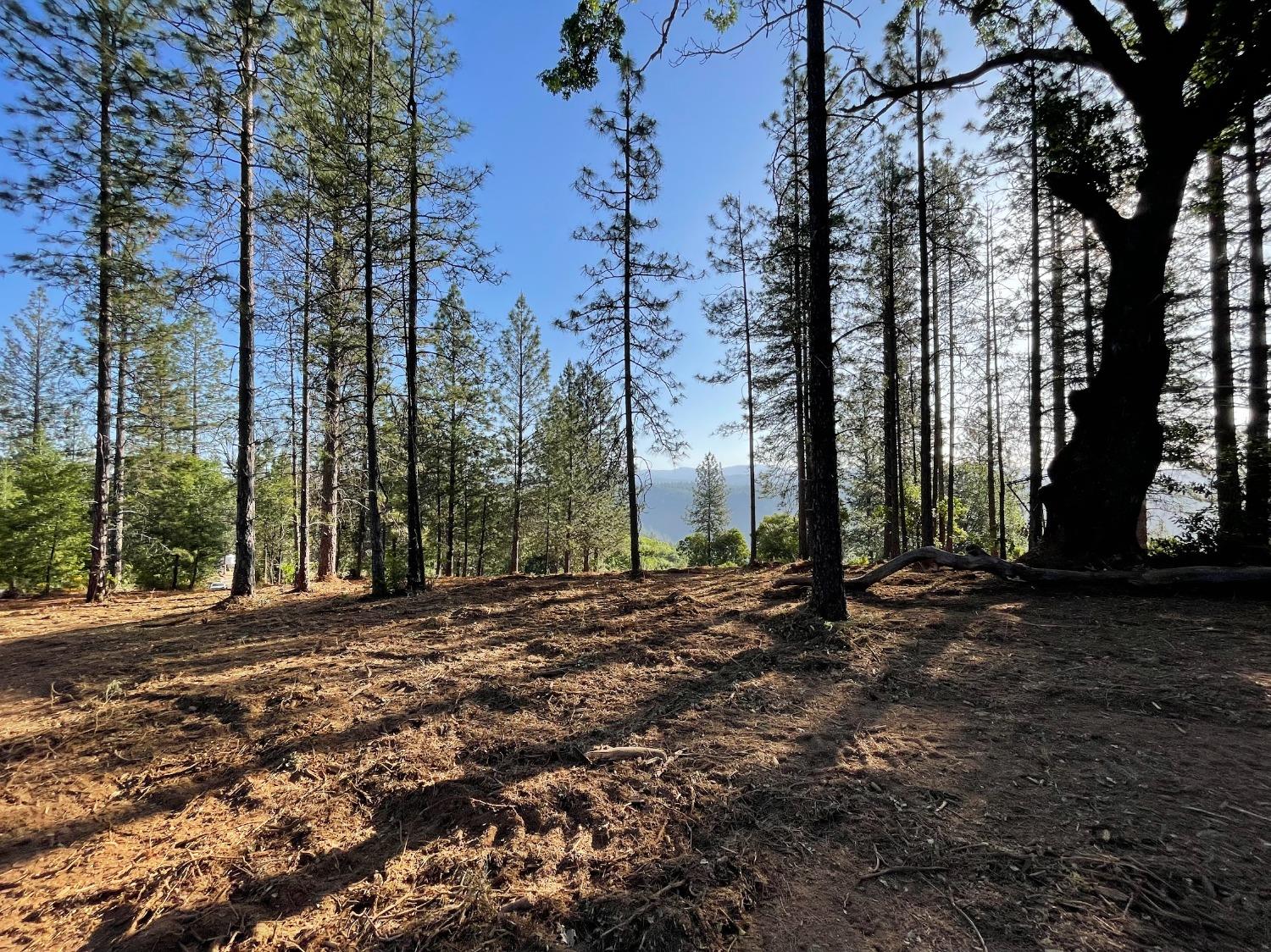 Beautiful ridge top 20 acre property with opportunity for Views of the American River and Snow Capped Mountains!  Build your dream home on this private property. The Well on property produces 6.5gpm. Nice mix of Oak and Pine Trees.  Close to Placerville and Georgetown. Adjoining 20 acre parcel APN# 084-020-036-000 is for sale as well. Amazing opportunity! Seller is open to Seller Financing with at least 50% down.