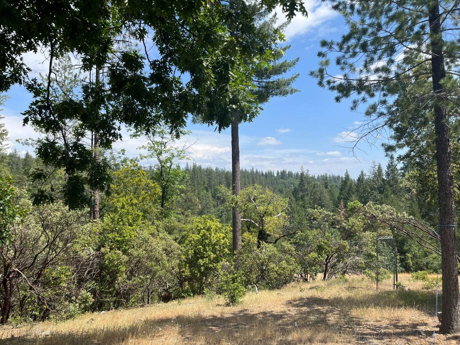 Photo of 19837 Sivers Ln in Grass Valley, CA