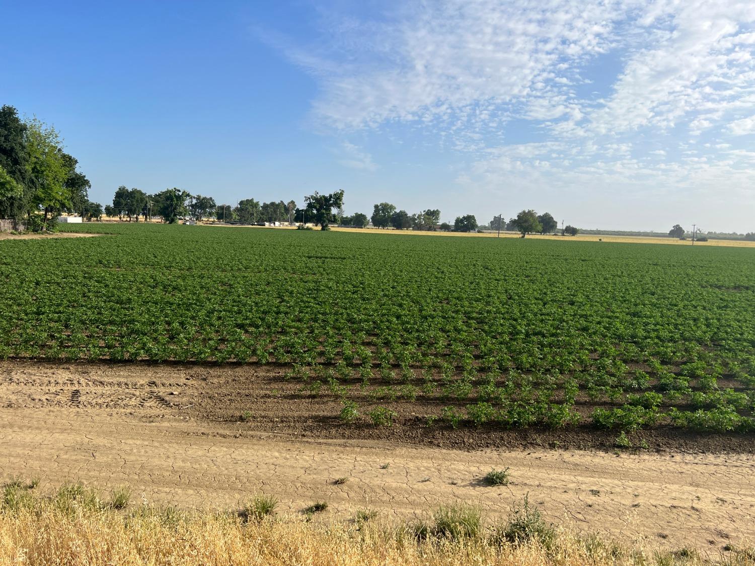 Photo of 38123 County Rd 17 in Woodland, CA