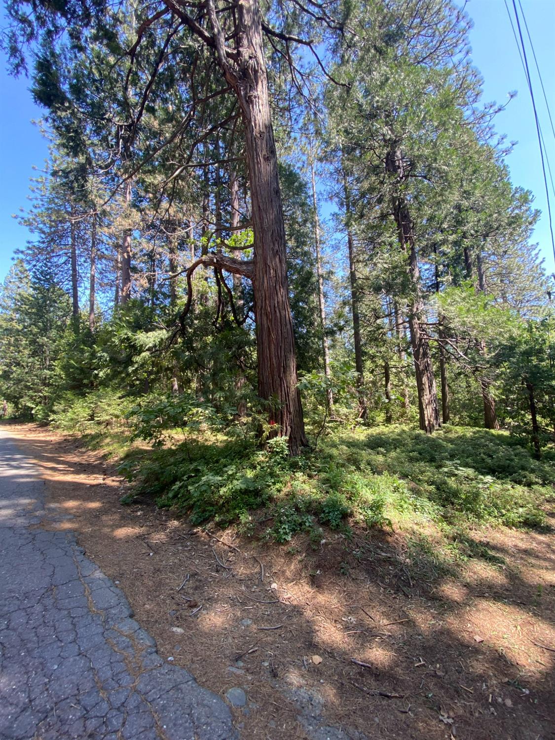 Beautiful level lot in sweet Camino. If you're looking to build your next home or an investment property this, is it. Water and power are needed but both are close, and septic is required as well. This lot is in an area of cute homes and a quaint neighborhood.  Easy access from Highway 50 and only minutes to Placerville. Close to Sly Park Lake, hiking, biking and fishing and an hour to South Lake Tahoe.