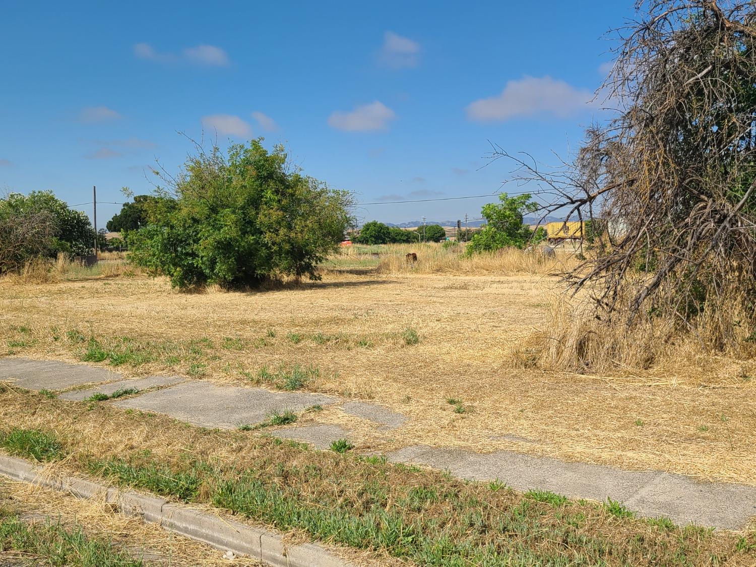 1st Street, Dunnigan, California image 3