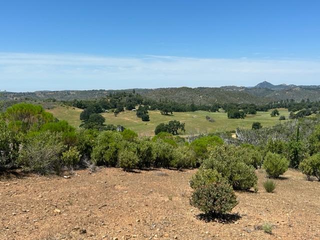 Maranatha Lane, Mokelumne Hill, California image 19