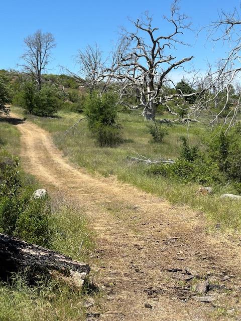 Maranatha Lane, Mokelumne Hill, California image 6