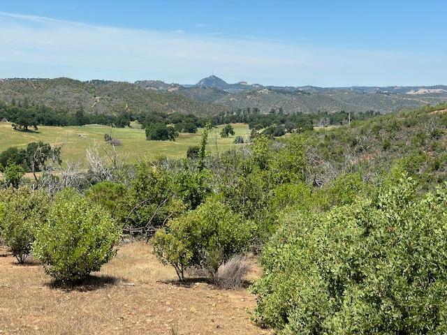 Maranatha Lane, Mokelumne Hill, California image 18