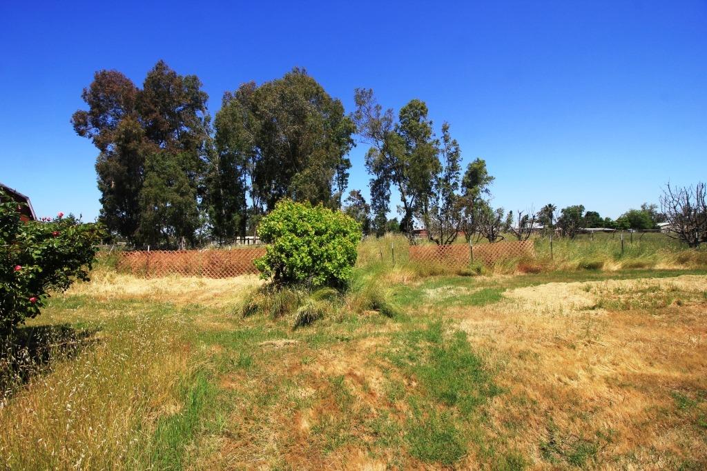 Clay Station Road, Herald, California image 49