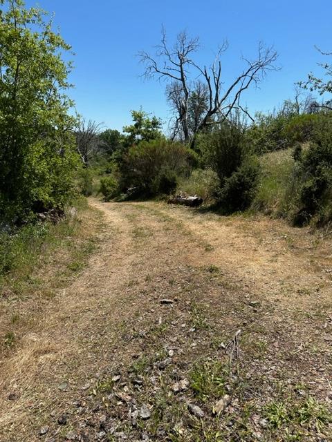 Maranatha Lane, Mokelumne Hill, California image 13