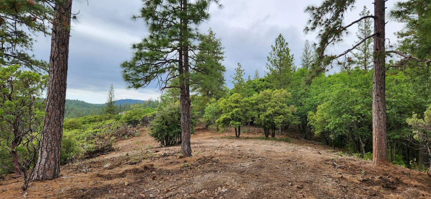 Photo of 18100 Greenhorn Rd in Grass Valley, CA