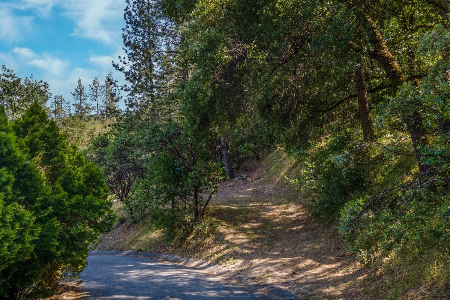 Fowler Lane, Diamond Springs, California image 46