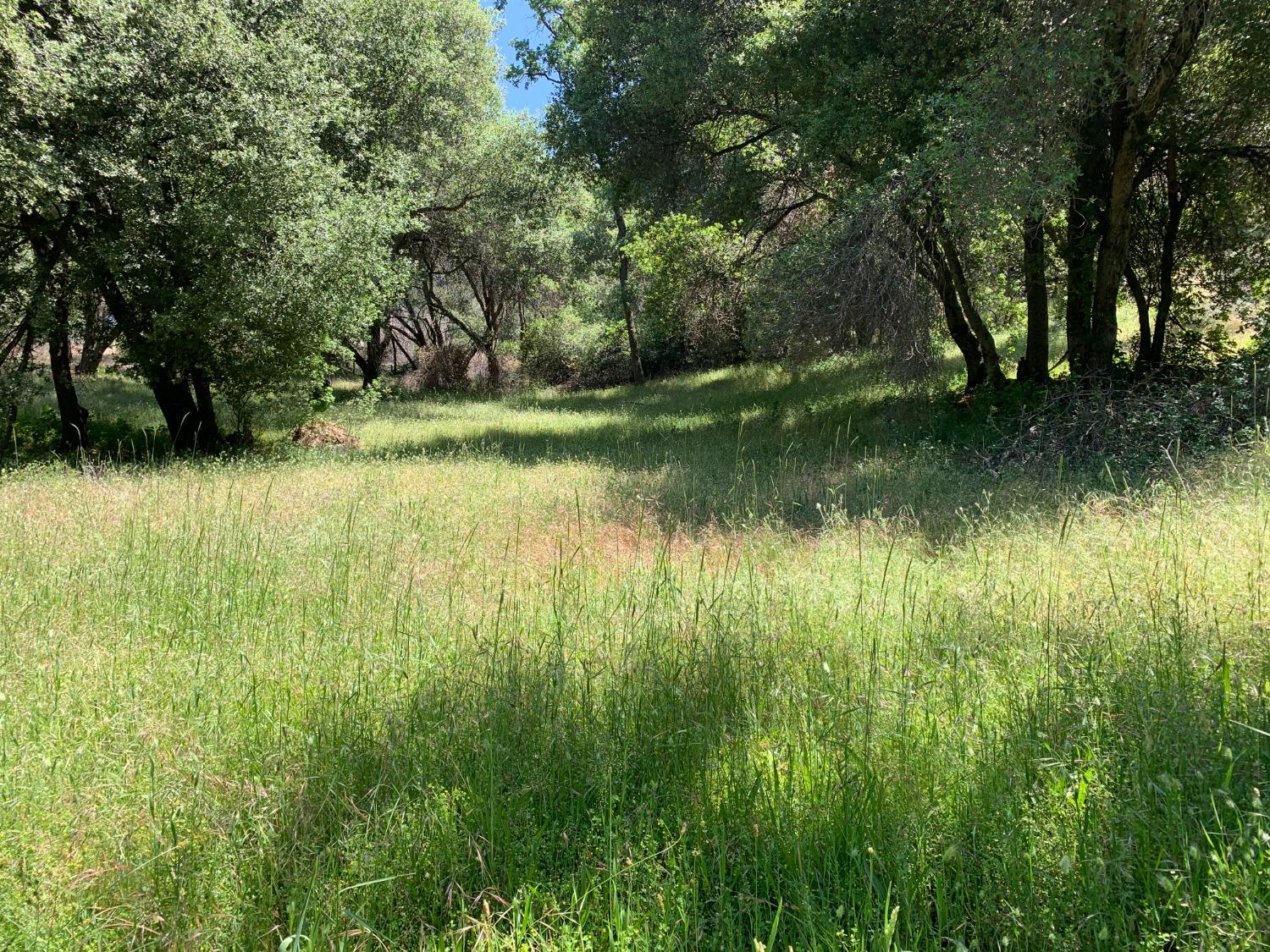 Photo of 6186 Ladies Valley Rd in Placerville, CA