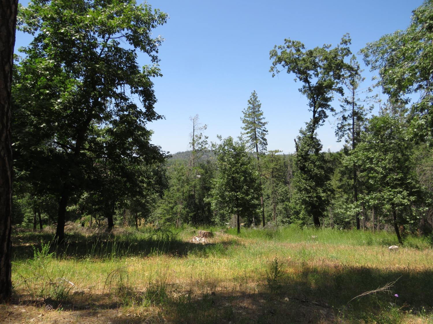 Photo of 31 Ac Barton Dr in Applegate, CA