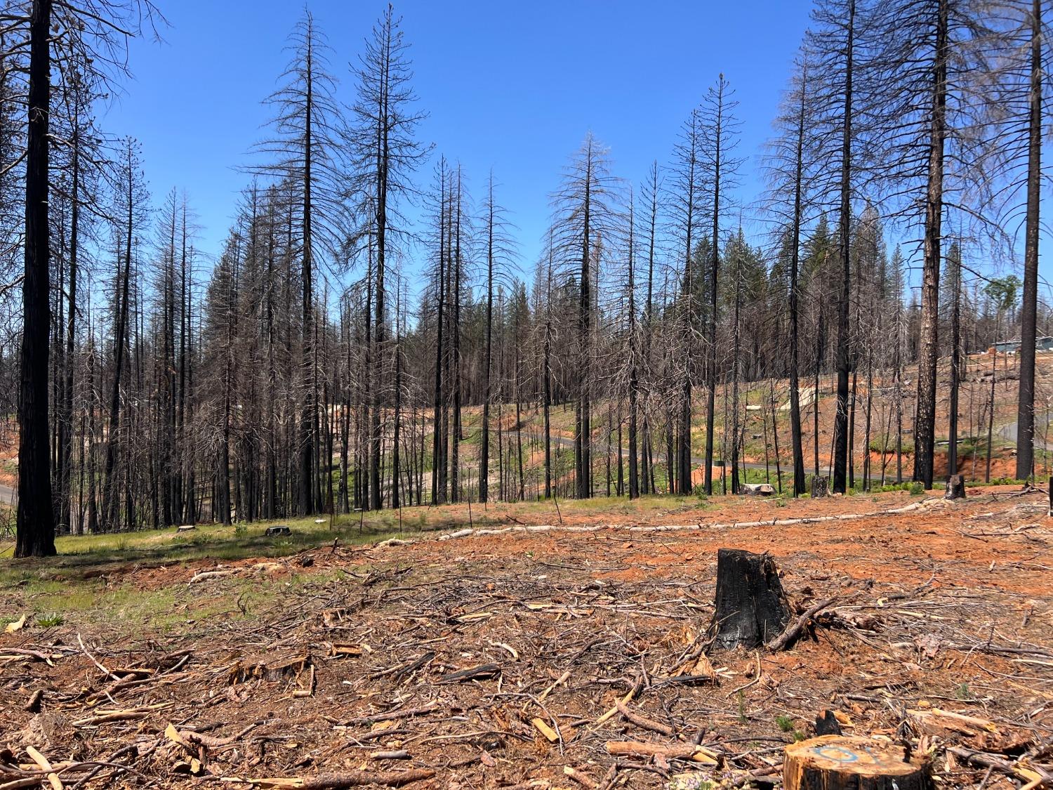 Photo of 5230 Golden Aspen Ct in Grizzly Flats, CA