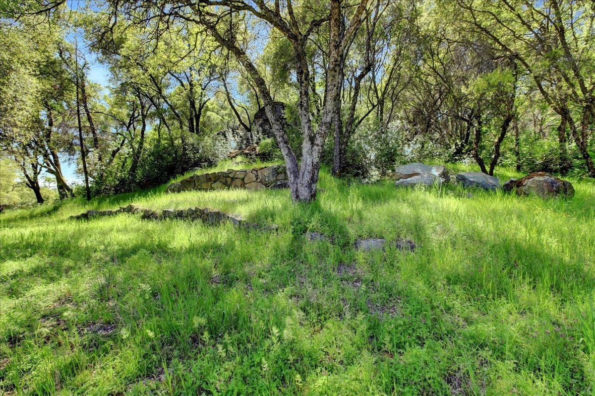 Maidu Trail, Penn Valley, California image 50