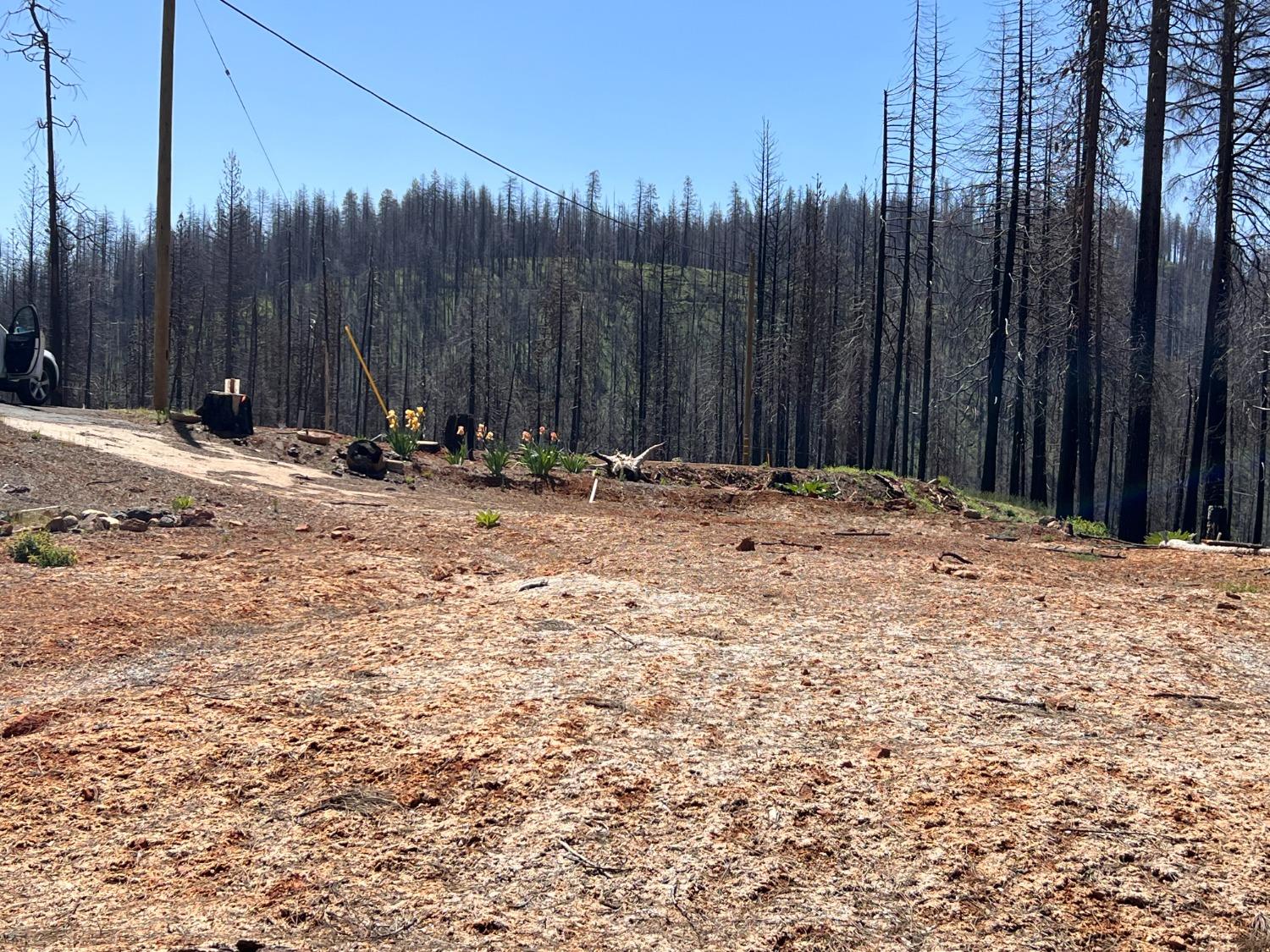 Photo of 5222 Golden Aspen in Grizzly Flats, CA