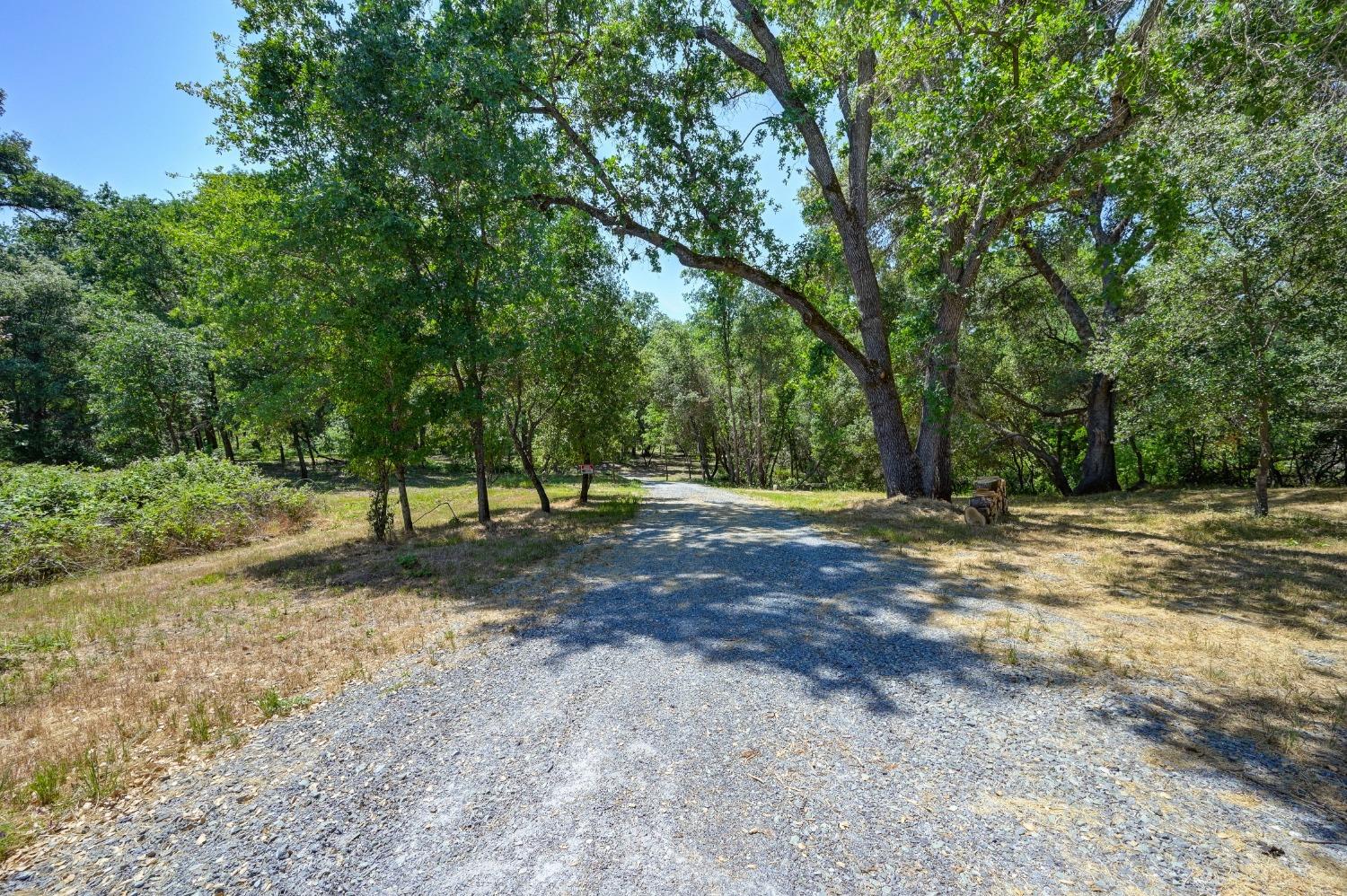 Photo of 1076 Lotus Rd in Lotus, CA
