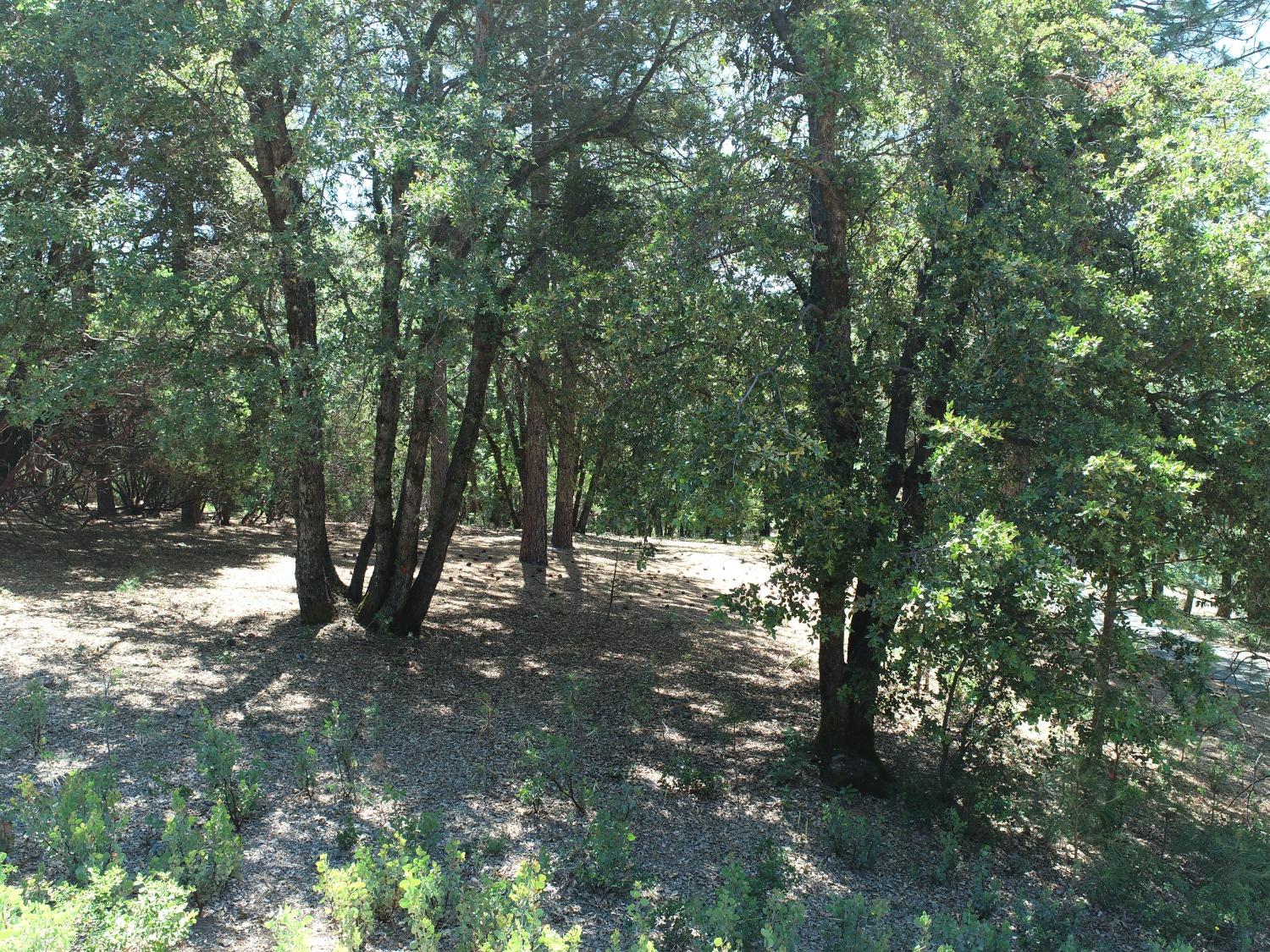 Photo of 19941 Casa Loma Dr in Grass Valley, CA