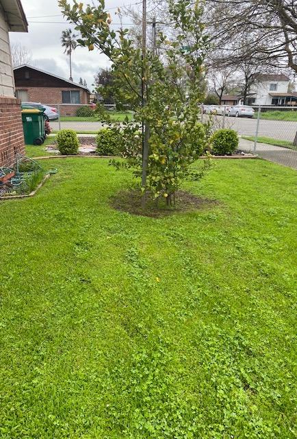 Detail Gallery Image 22 of 23 For 225 S D St, Stockton,  CA 95205 - – Beds | – Baths