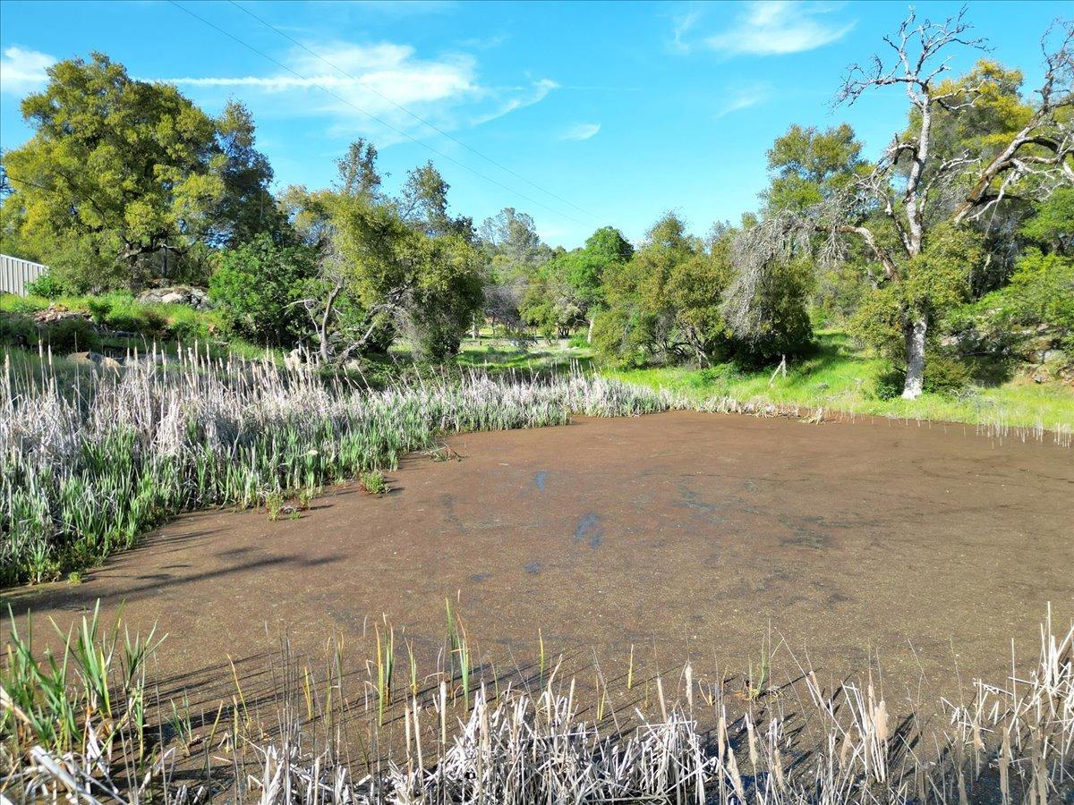 Maidu Trail, Penn Valley, California image 7