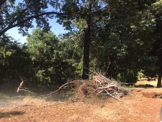 Photo of 16670 Delores Ct in Pioneer, CA