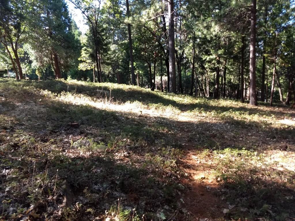 Photo of 11108 Golden Wy in Nevada City, CA