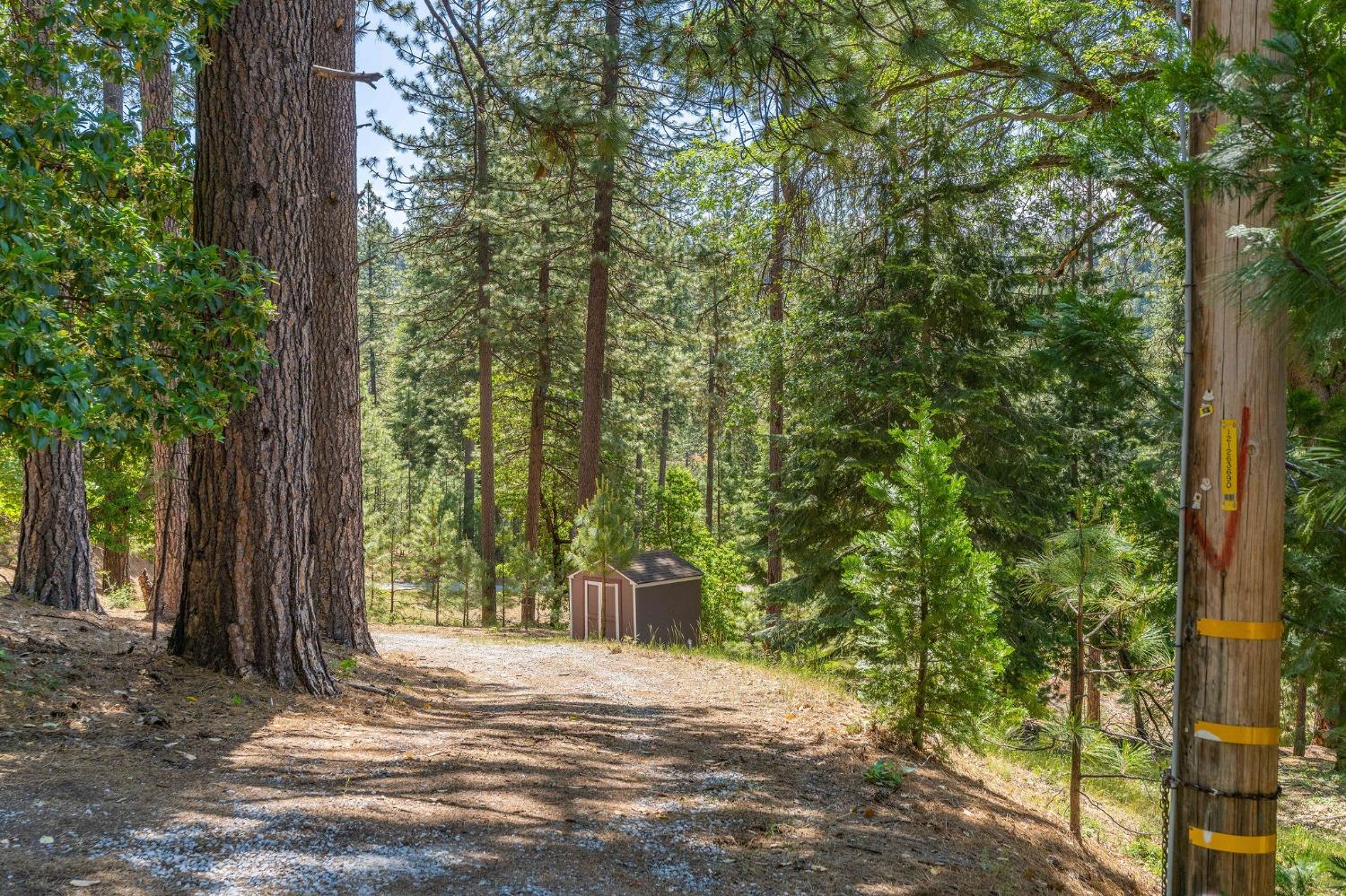 Dew Drop Road, Pioneer, California image 4