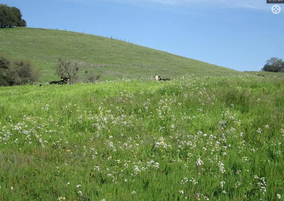 Photo of 9065 Wise Rd in Auburn, CA