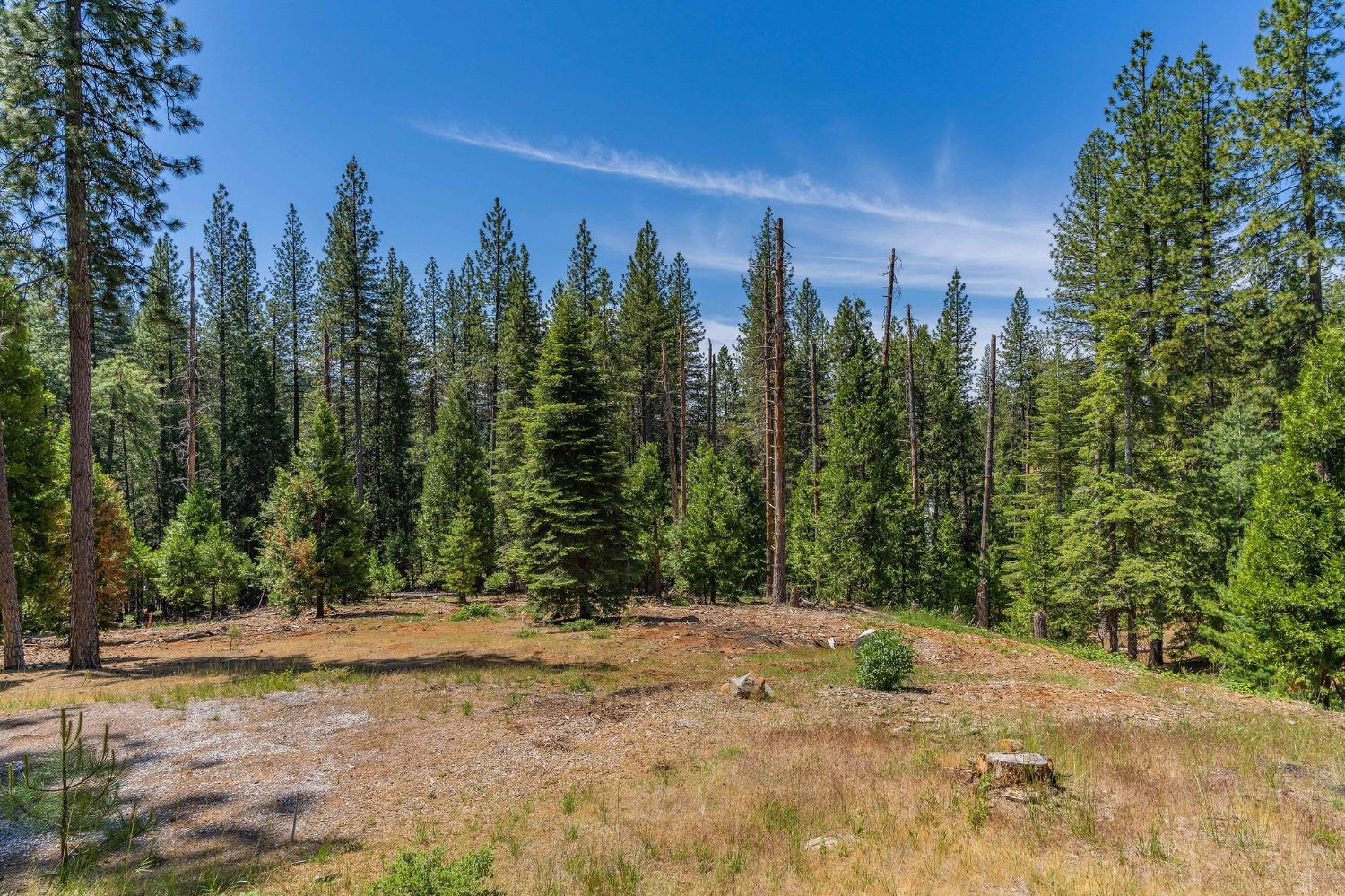 Dew Drop Road, Pioneer, California image 18