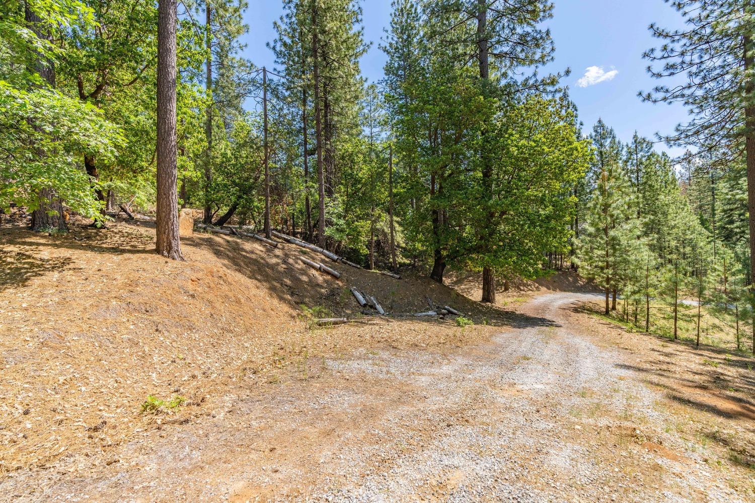 Dew Drop Road, Pioneer, California image 8