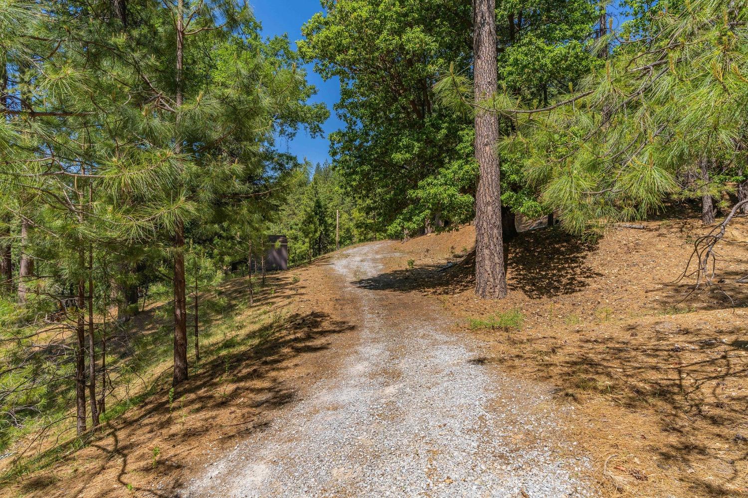 Dew Drop Road, Pioneer, California image 10