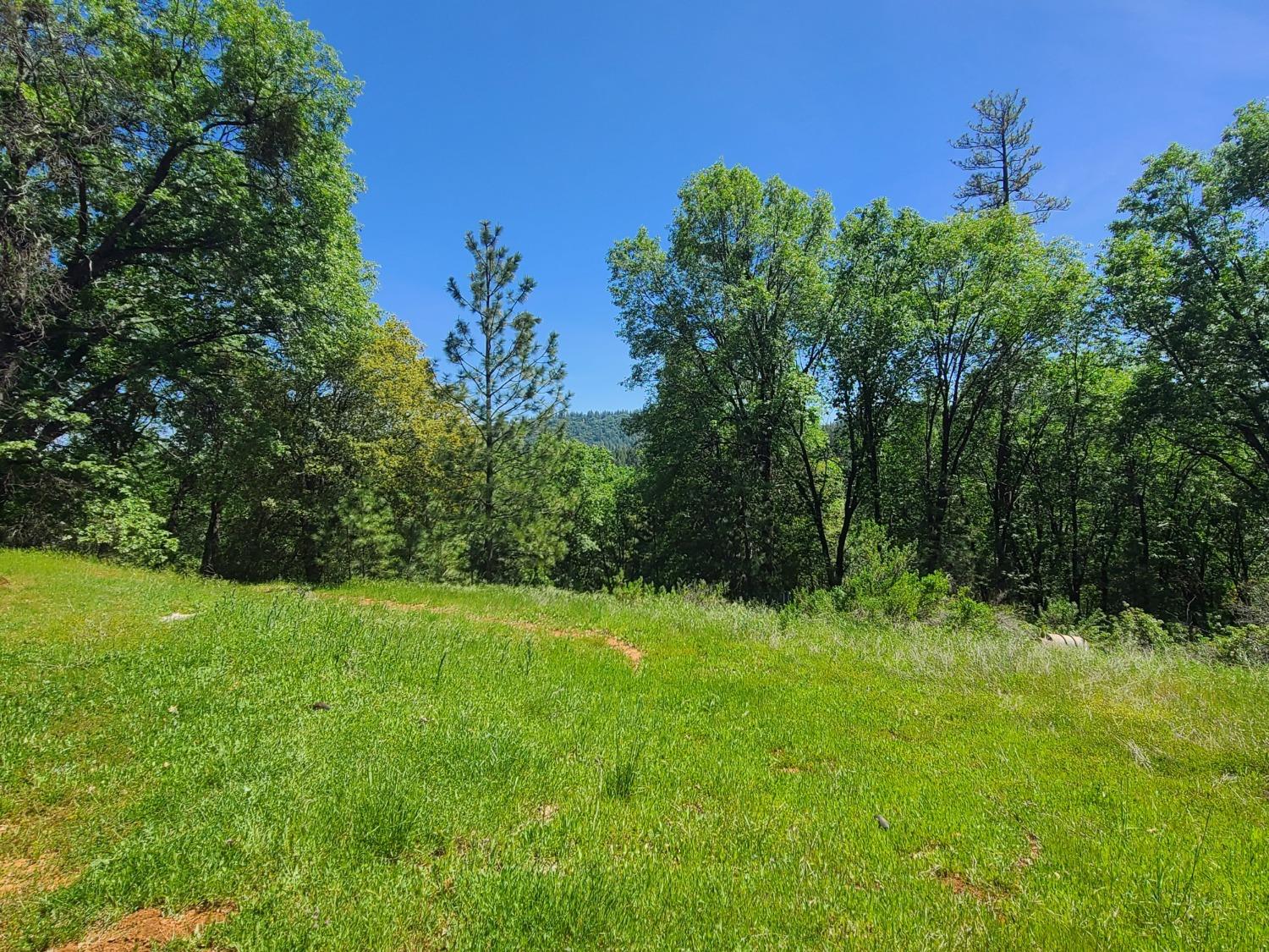 Photo of 3303 Weber Rd in Placerville, CA