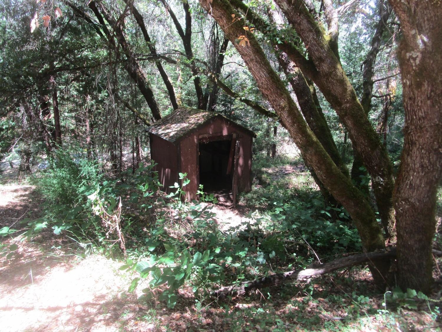 State Hwy 49, North San Juan, California image 8