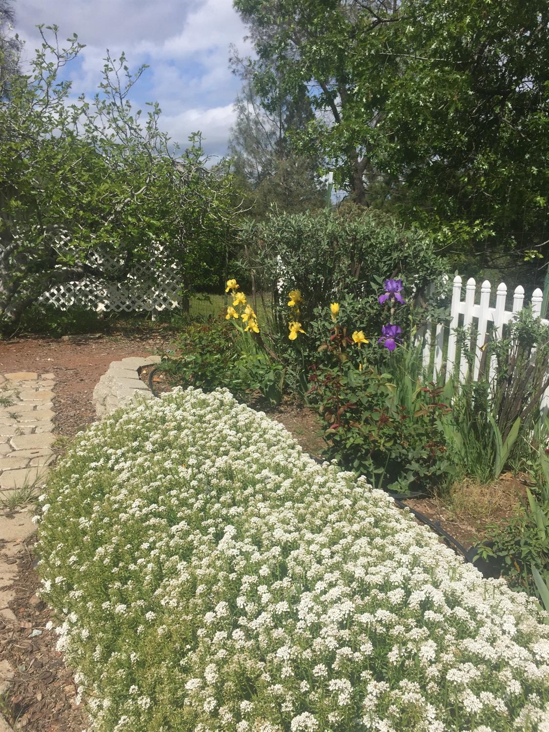 Photo of 8180 Mt Aukum Rd in Somerset, CA