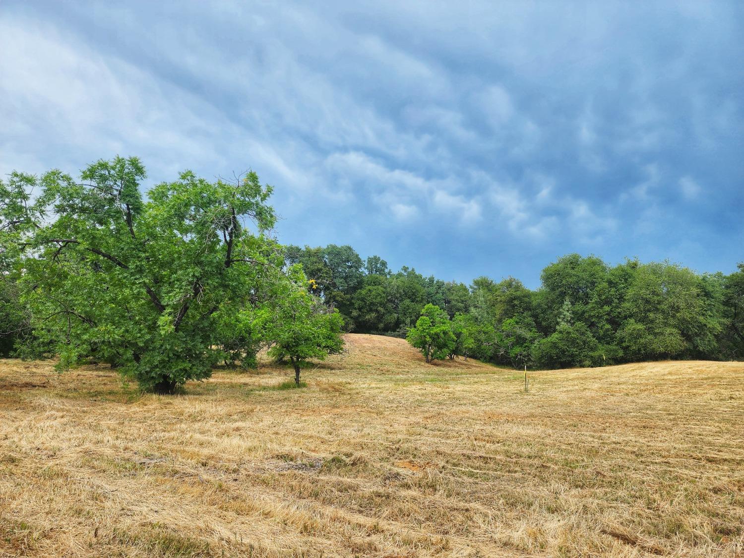 Photo of Walnut Hill Dr in Cool, CA