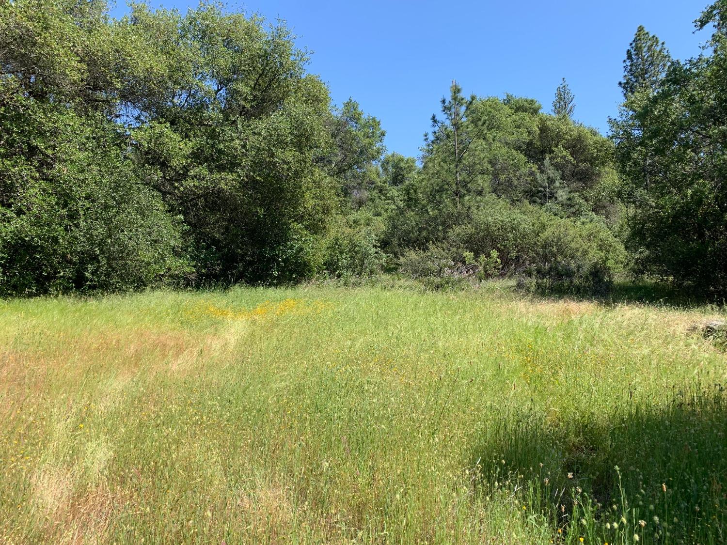 Photo of 7003 Bertone Dr in Somerset, CA