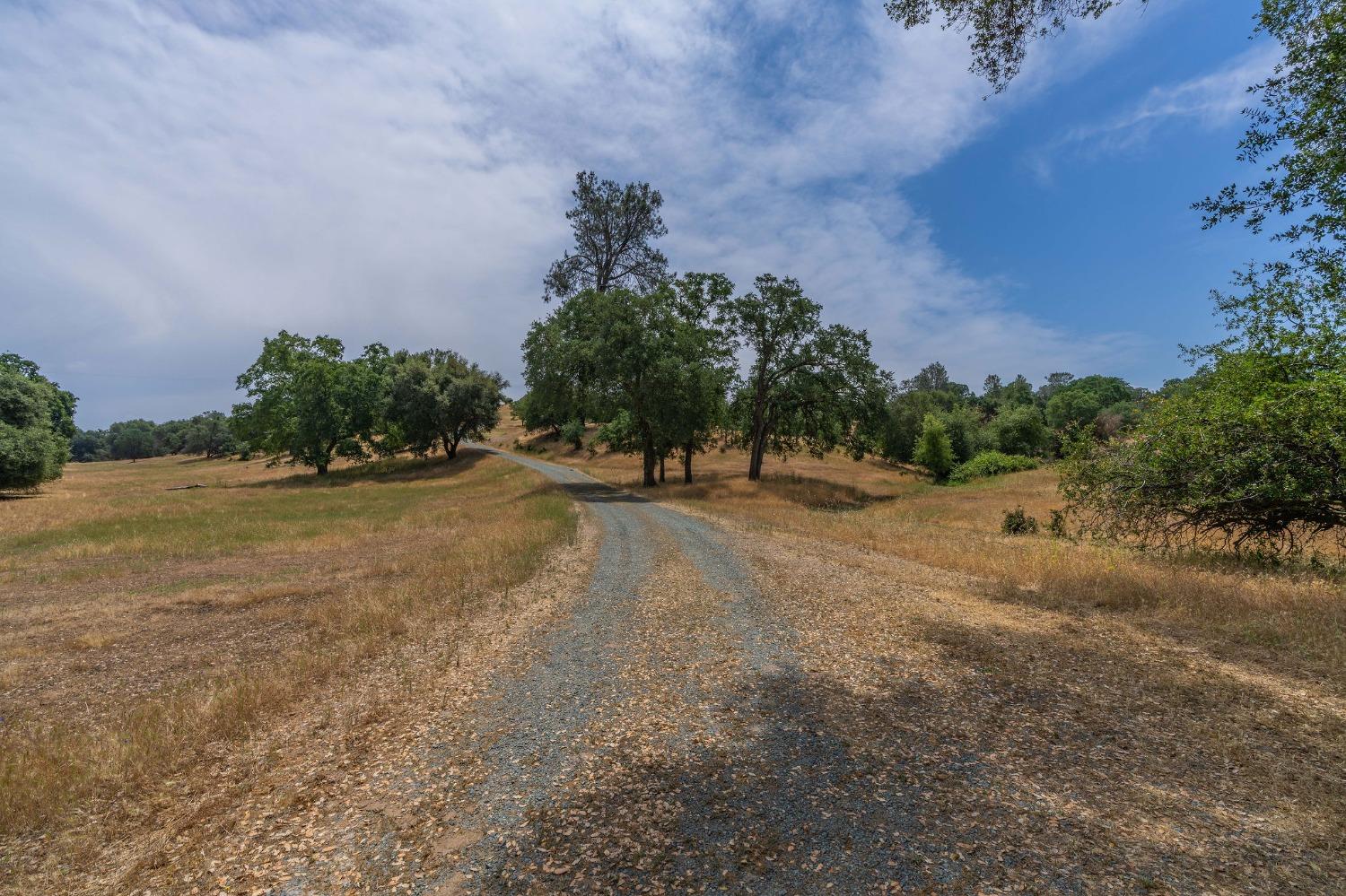 Reservation Road, Ione, California image 4