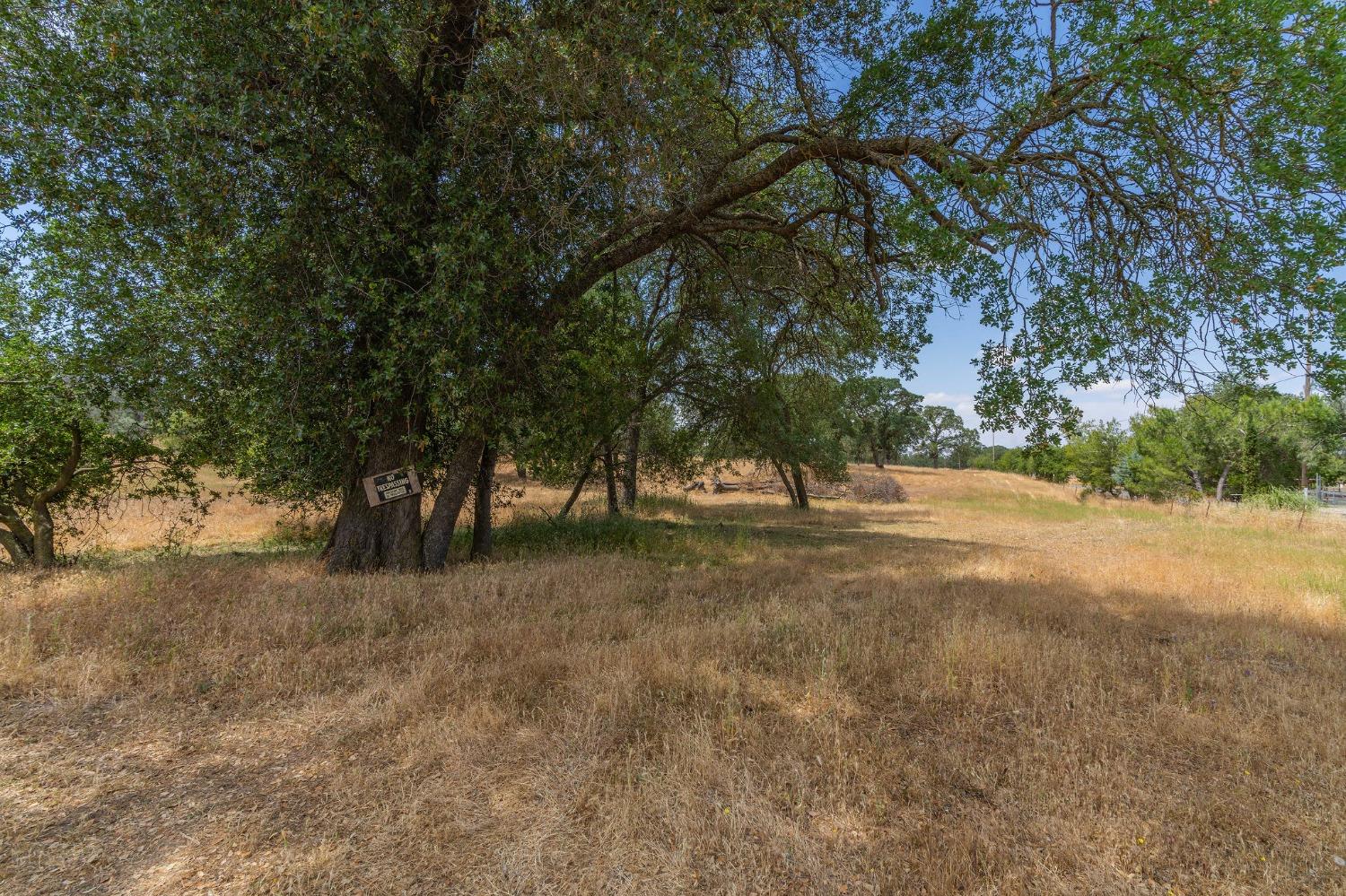 Reservation Road, Ione, California image 10