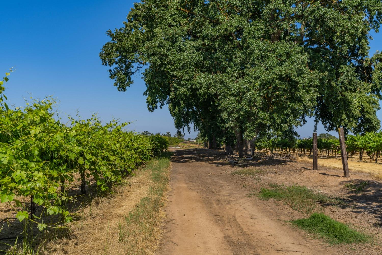 N State Route 88, Lockeford, California image 17