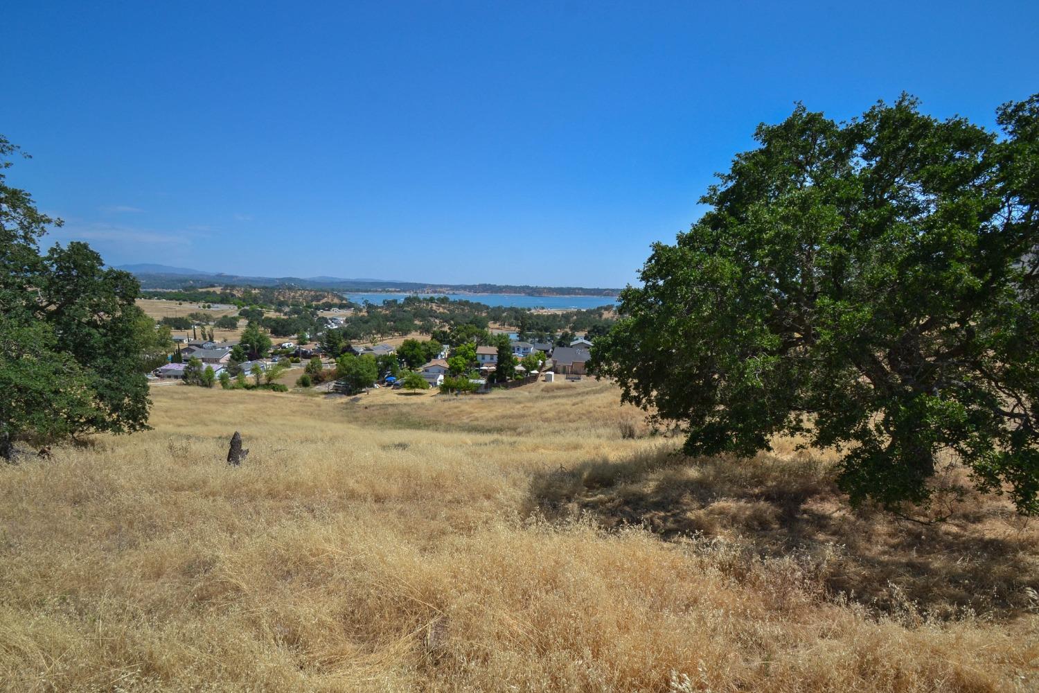 Camanche N Parkway, Ione, California image 7