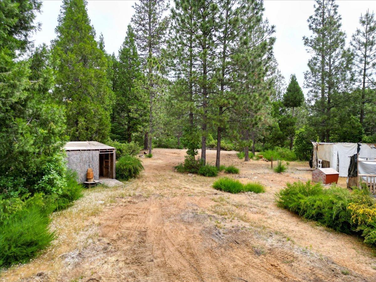 Tyler Foote Road, Nevada City, California image 16