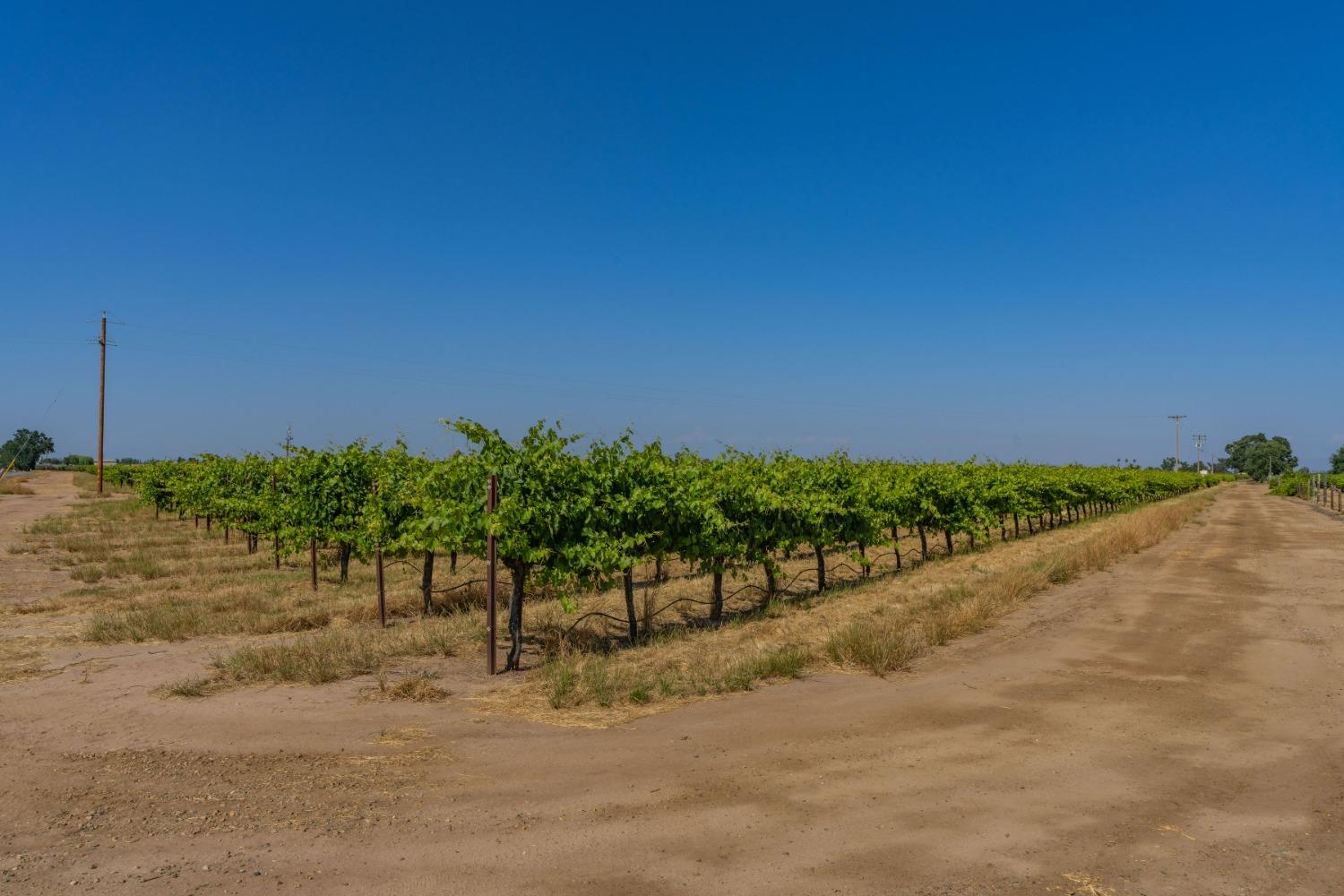 N State Route 88, Lockeford, California image 12