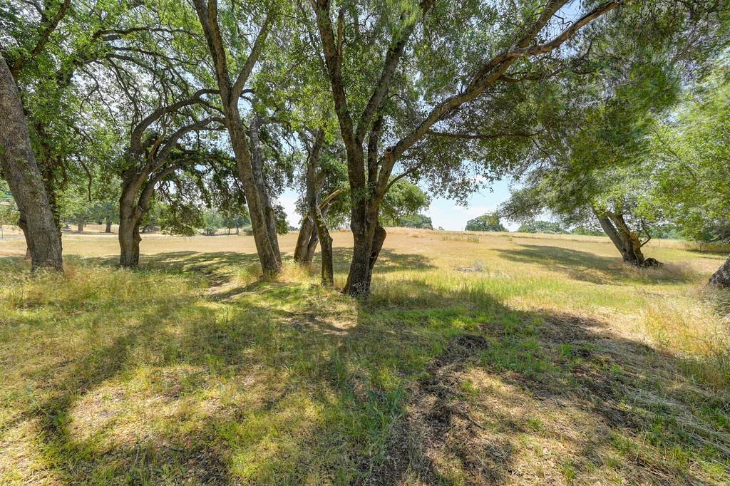 Covey Way, El Dorado Hills, California image 5