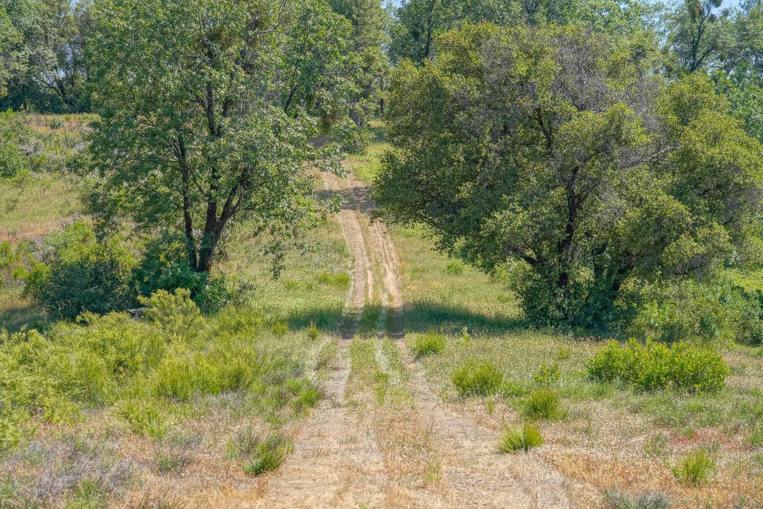 Acres Ant Hill Road, Somerset, California image 9