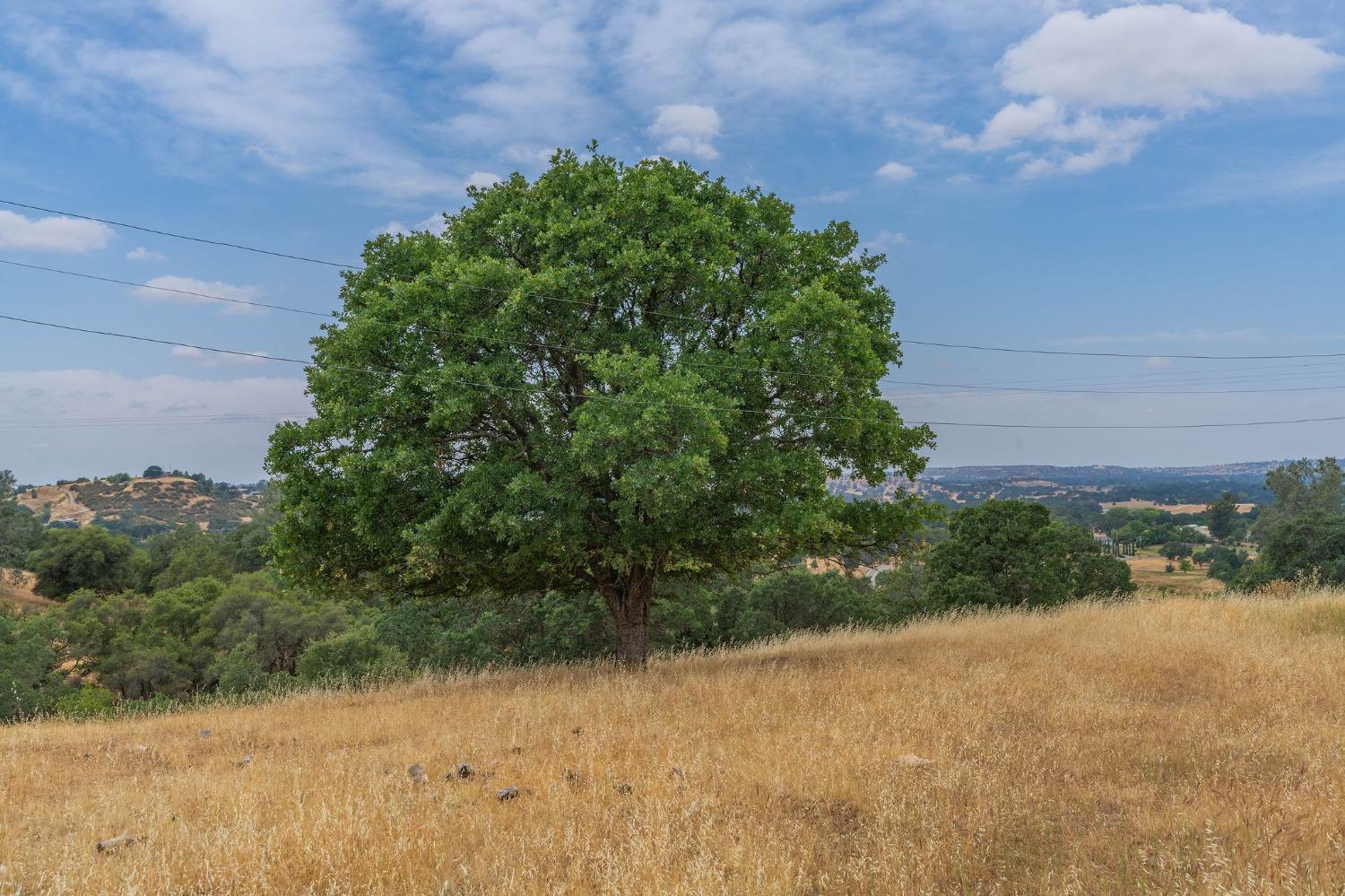 Reservation Road, Ione, California image 38