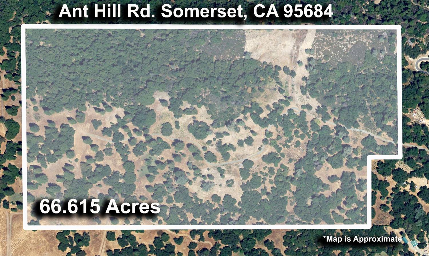 Acres Ant Hill Road, Somerset, California image 8