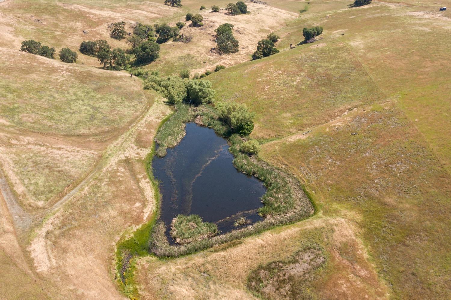Photo of South Gulch Rd in Valley Springs, CA