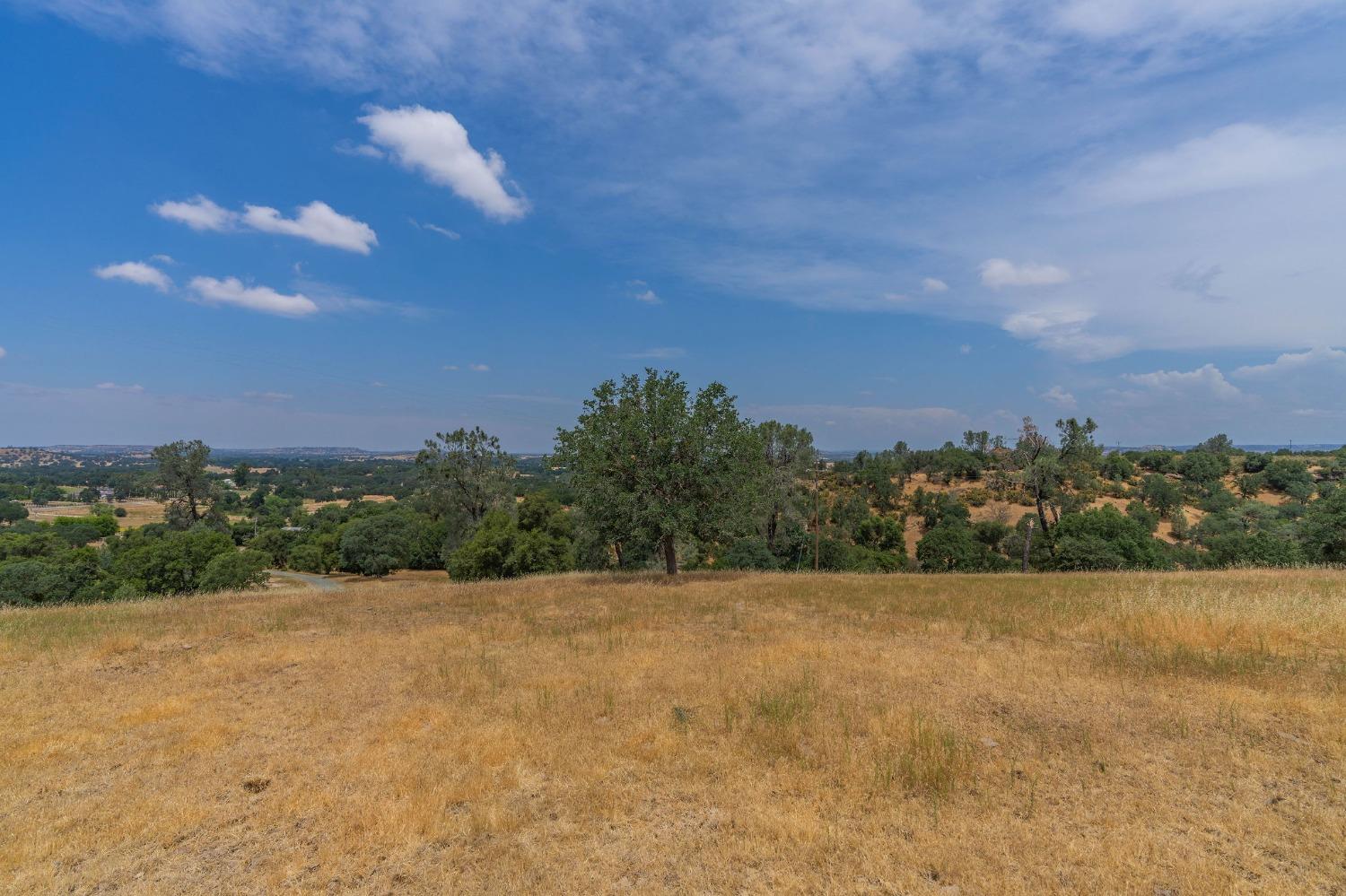 Reservation Road, Ione, California image 16