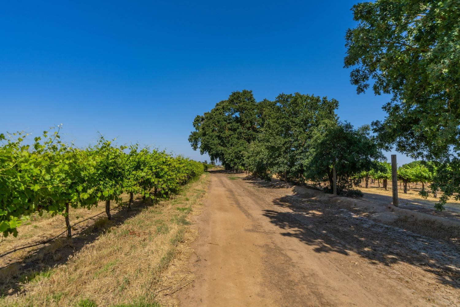 N State Route 88, Lockeford, California image 14