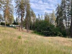 Weaver Hill Lane, Applegate, California image 18